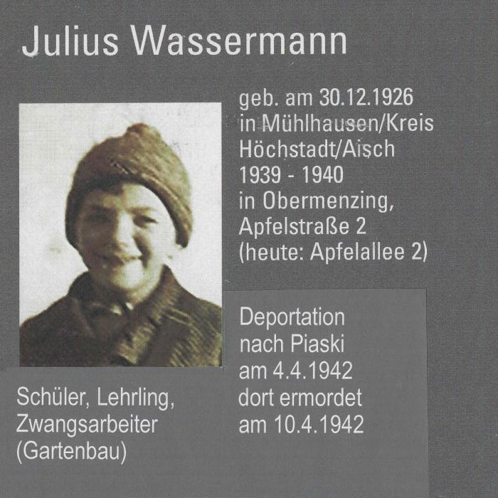 Julius Wassermann
